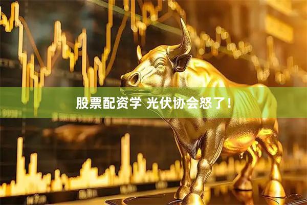 股票配资学 光伏协会怒了！