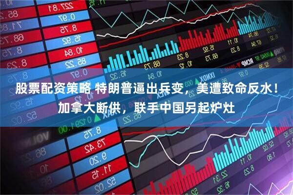 股票配资策略 特朗普逼出兵变，美遭致命反水！加拿大断供，联手中国另起炉灶